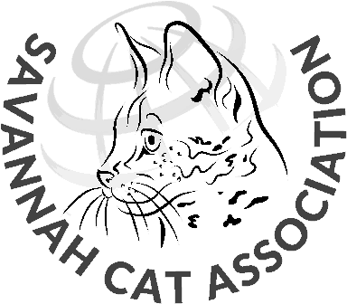 Savannah Cat Association Savannah Cat Association - Market Artist (383x383), Png Download