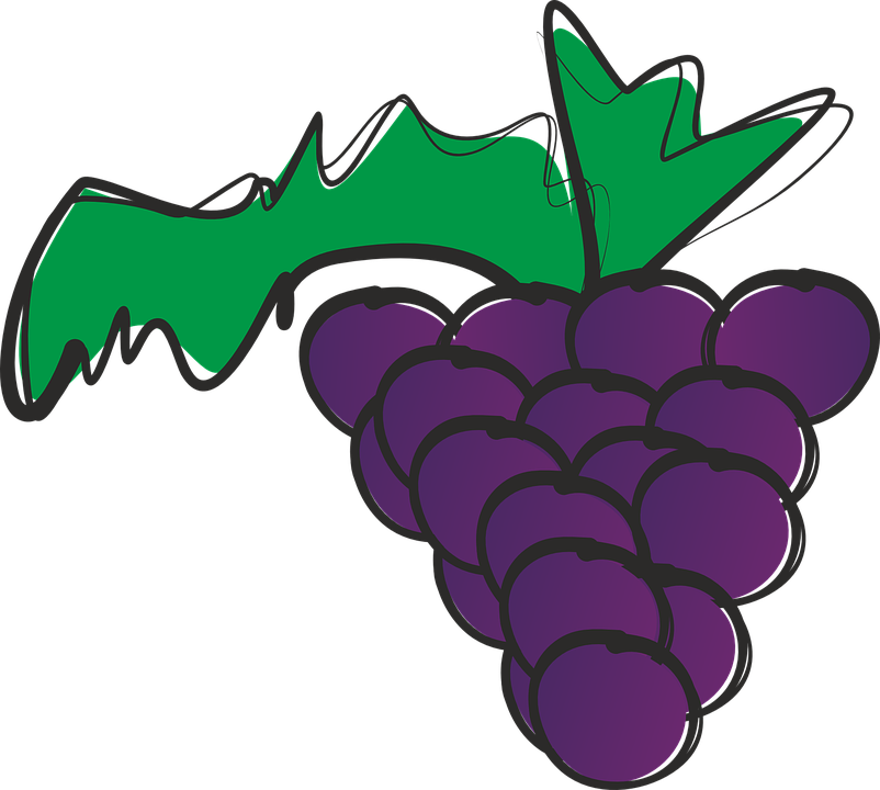 Grapes Clipart Climber - 10 Racimos De Uvas (802x720), Png Download