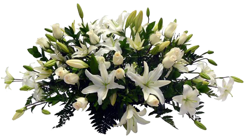 Lilis Y Rosas Grande - Flower (500x500), Png Download