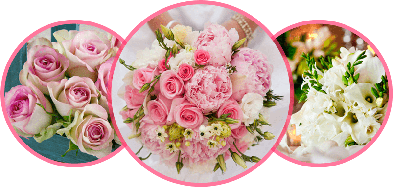 Peony & Blush Suede Type* Candle Fragrance Oil (960x400), Png Download