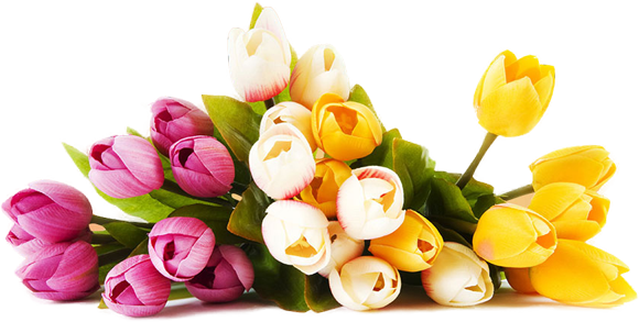 Arreglos - Good Morning My Sweet Sister (580x293), Png Download