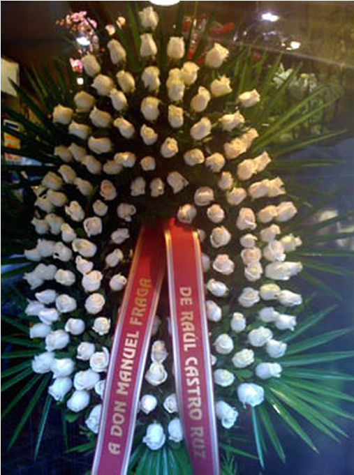 Corona Solo Rosas Blancas - Christmas Tree (680x680), Png Download