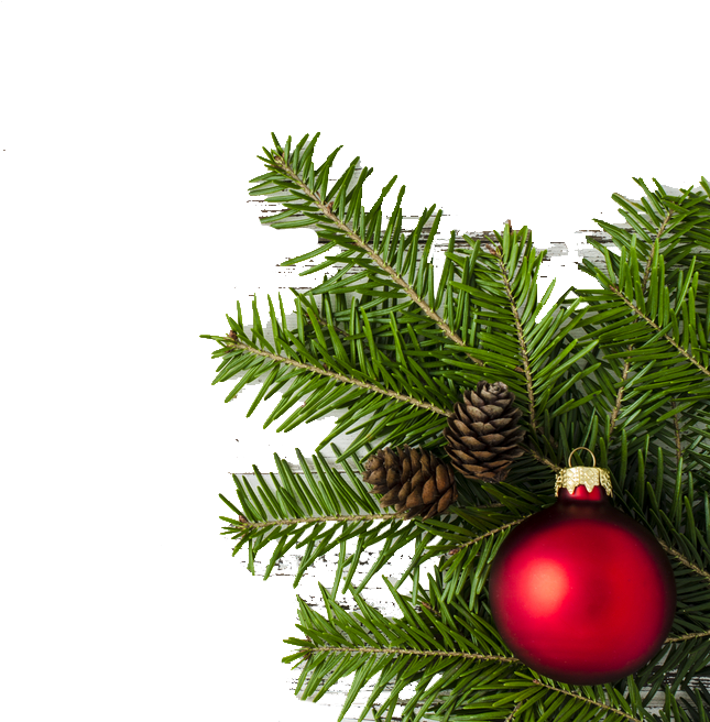 Christmas Border Vector Png - Christmas Day (1000x662), Png Download