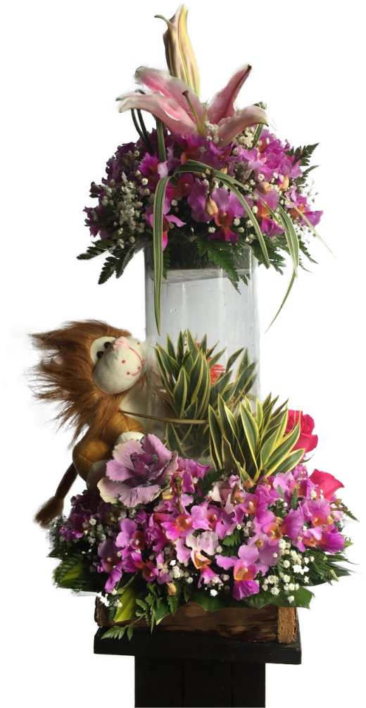 Arreglos Florales A Domicilio En Bogota - Thanksgiving (576x1024), Png Download