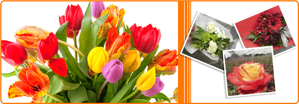 Rímac District (1600x373), Png Download