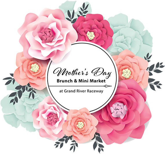 50 - Illustration (570x670), Png Download