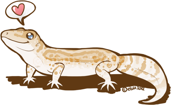 Leopard Lizard Clipart Book - Gecko (600x379), Png Download