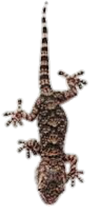 Picsart Photo Studio (480x480), Png Download