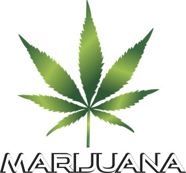 Background Black Cannabis Culture Design D - Healthy Education Society Dispensary (365x340), Png Download