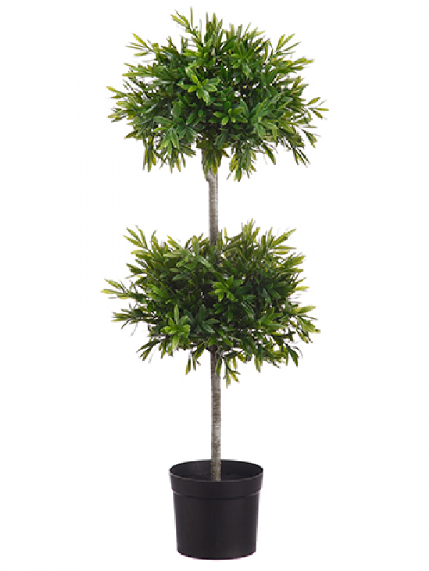 38" Olive Leaf Double Ball Topiary In Black Pot Two - Houseplant (800x800), Png Download