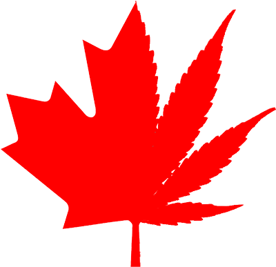 Canada Flag Leaf Only (500x500), Png Download