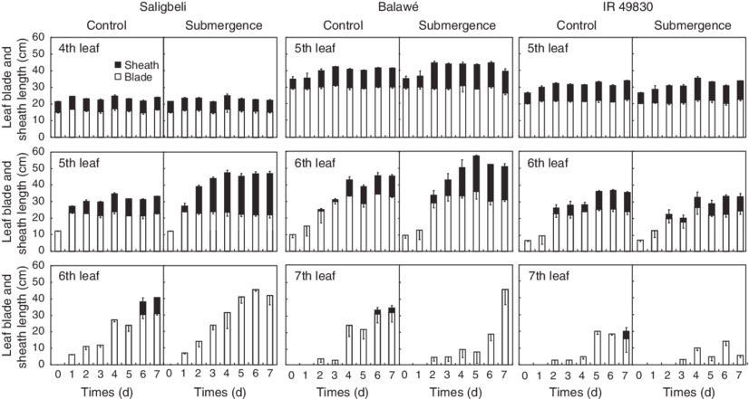 Effect Of Complete Submergence In A Pot Experiment - Illustration (850x441), Png Download