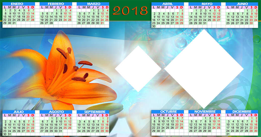 Year (1050x550), Png Download