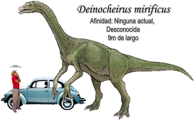 Deinocheirus Mirificus A Escala - Favorite Pelecanimimus (640x400), Png Download