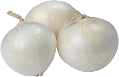 White Onion - Onion White (500x319), Png Download
