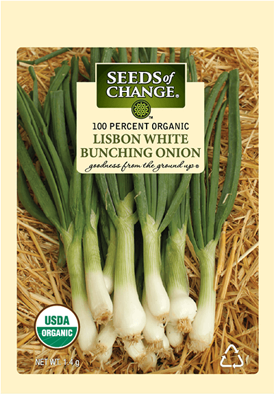 Organic Lisbon White Bunching Onion Seeds - Usda Organic (573x573), Png Download
