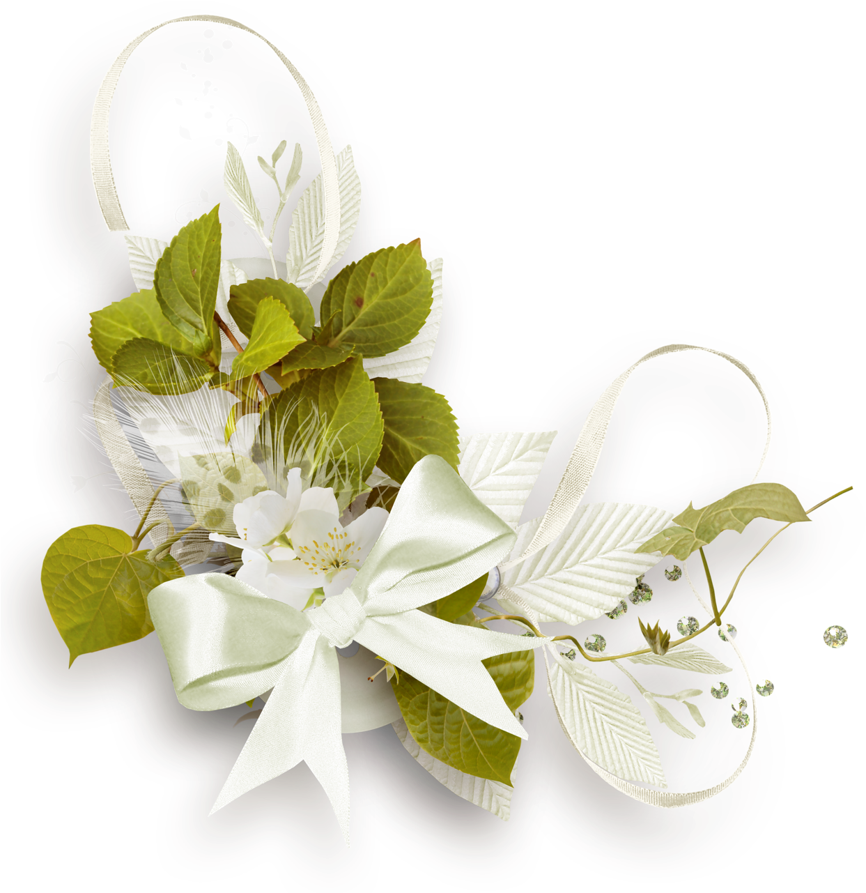 Fondos De Pantalla Flores Blancas Png Images Flowers - Good Morning Blessed Day Saturday (1280x1280), Png Download