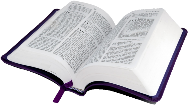 Bibleouverte - La Bible Ouverte En Png (800x461), Png Download