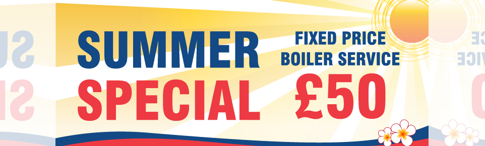 Scott 7 Kirk Summer Web Banners - Poster (962x290), Png Download