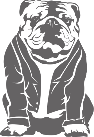 Bulldog-banner - Pug (378x553), Png Download