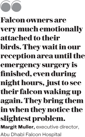 Here At Abu Dhabi Falcon Hospital We Often Experience - Hospital (400x563), Png Download