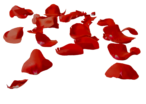 Adejam Pétalas Ao Sabor De Ventos Desconhecidos - Pluie De Pétale De Rose (600x427), Png Download