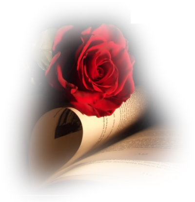"la Rosa En Tu Talle" Juego Amor, Sobre Tu Cuerpo Vestida - Rose And Book (400x414), Png Download