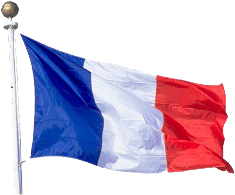 Drapeau Tricolore - France Flag (483x400), Png Download