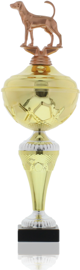 Dogs Foxhound 36,0cm - Trophy (900x600), Png Download