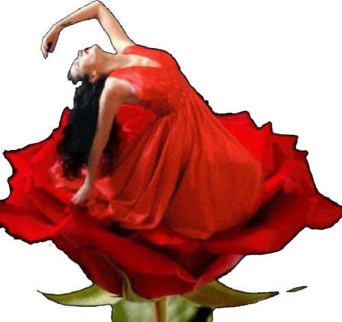 Captura De Pantalla 2014 12 30 - Single Rose (497x468), Png Download