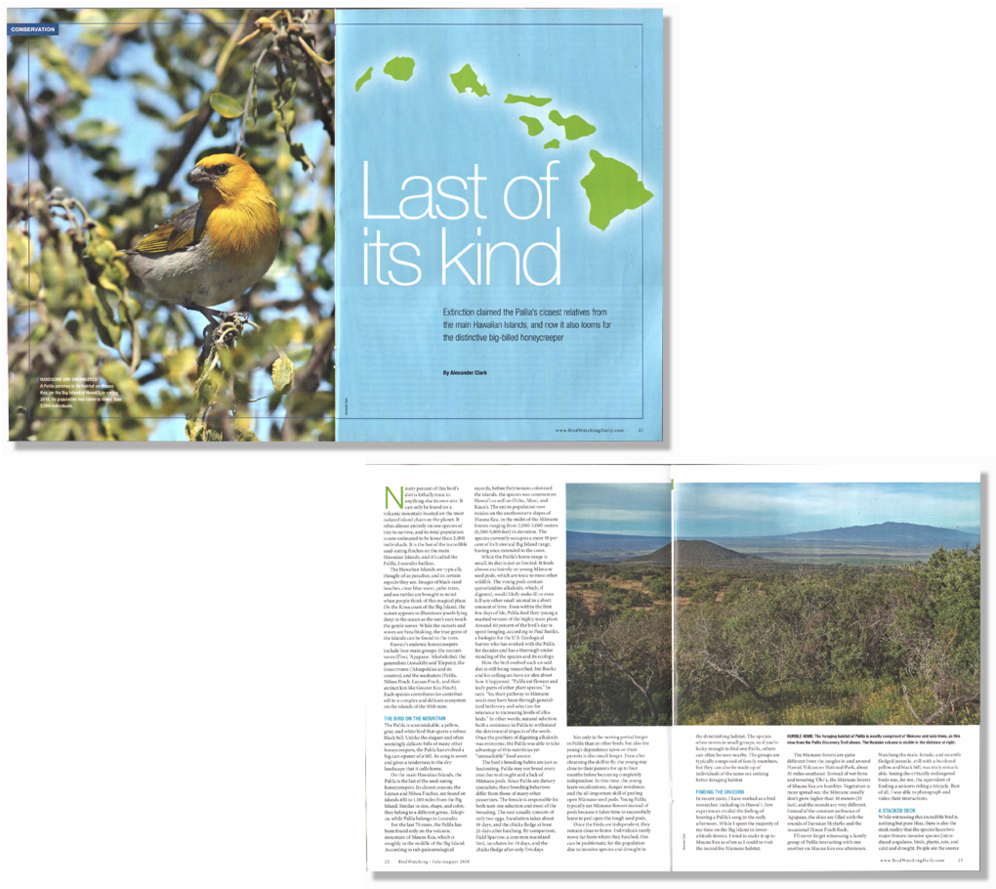 Last Of Its Kinds - Photography (1000x895), Png Download