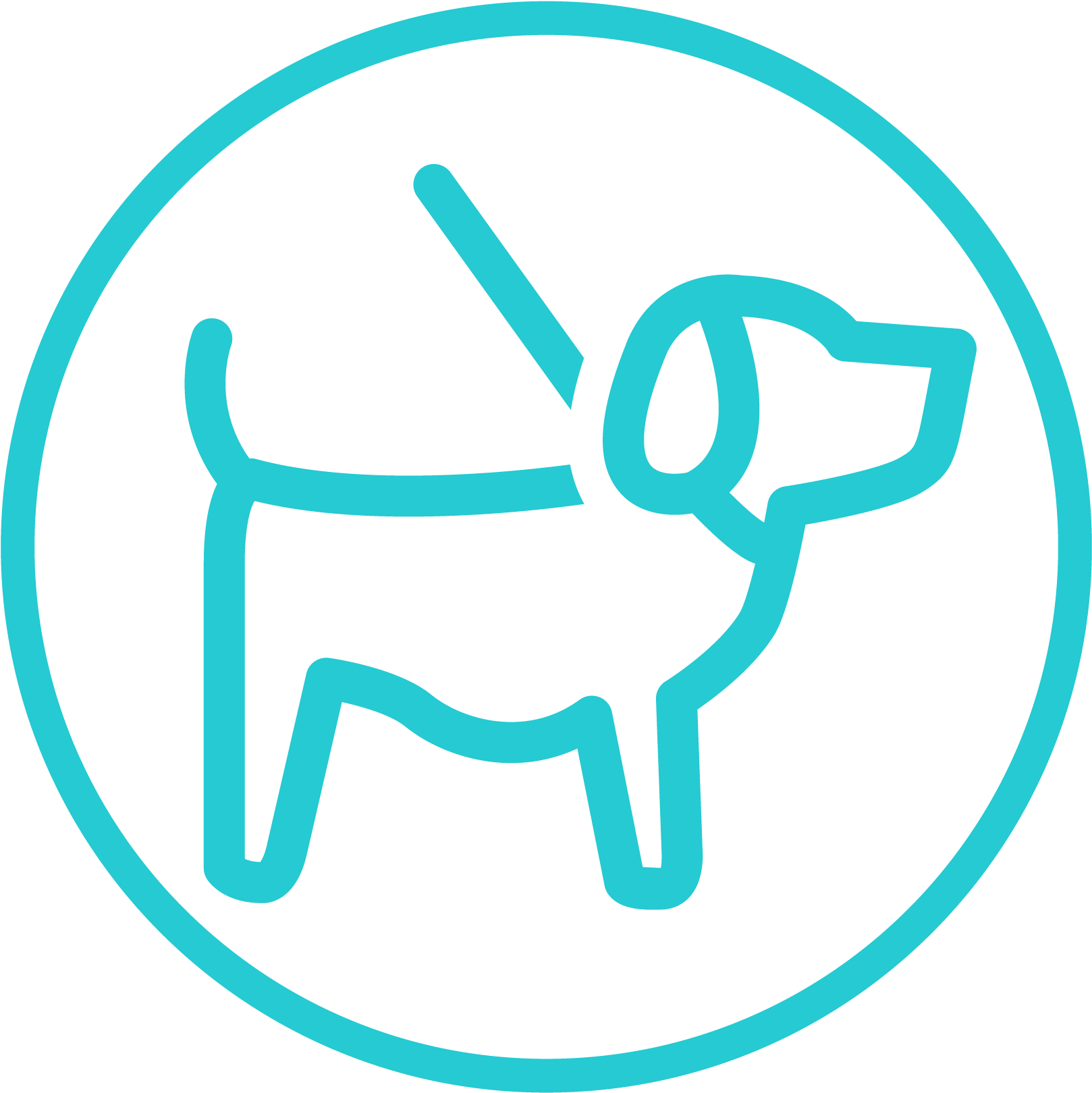 Office Hub Web Icons Pet Friendly - Pet–friendly Hotels (2001x2000), Png Download