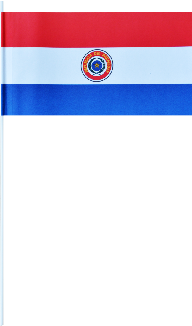 Drapeau En Papier Paraguay 12 X 24 Cm Maison Des For - Flag (993x1500), Png Download