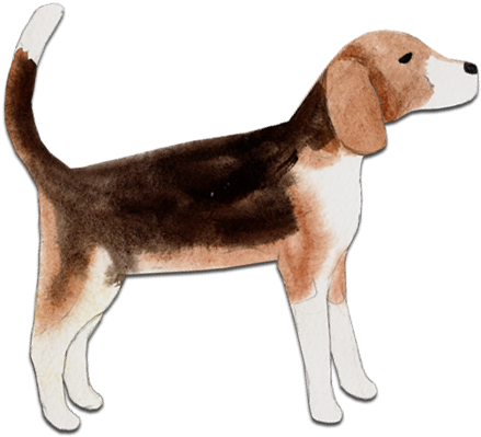 Sixty Slices Of Life On Wry Is A Tongue In Cheek Memoir, - Slices Of Life (460x398), Png Download