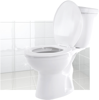 Features - Toilet Bowl Cleaner Png (370x377), Png Download