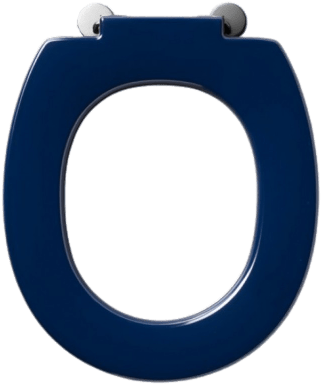 Blue Toilet Seat - Armitage Shanks Disabled Toilet Seat (400x400), Png Download
