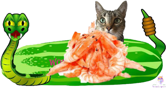 Just Finish A Business Lunch And Realize You Don't - Zazzle Klapperschlange Spiral Notizblock (640x320), Png Download