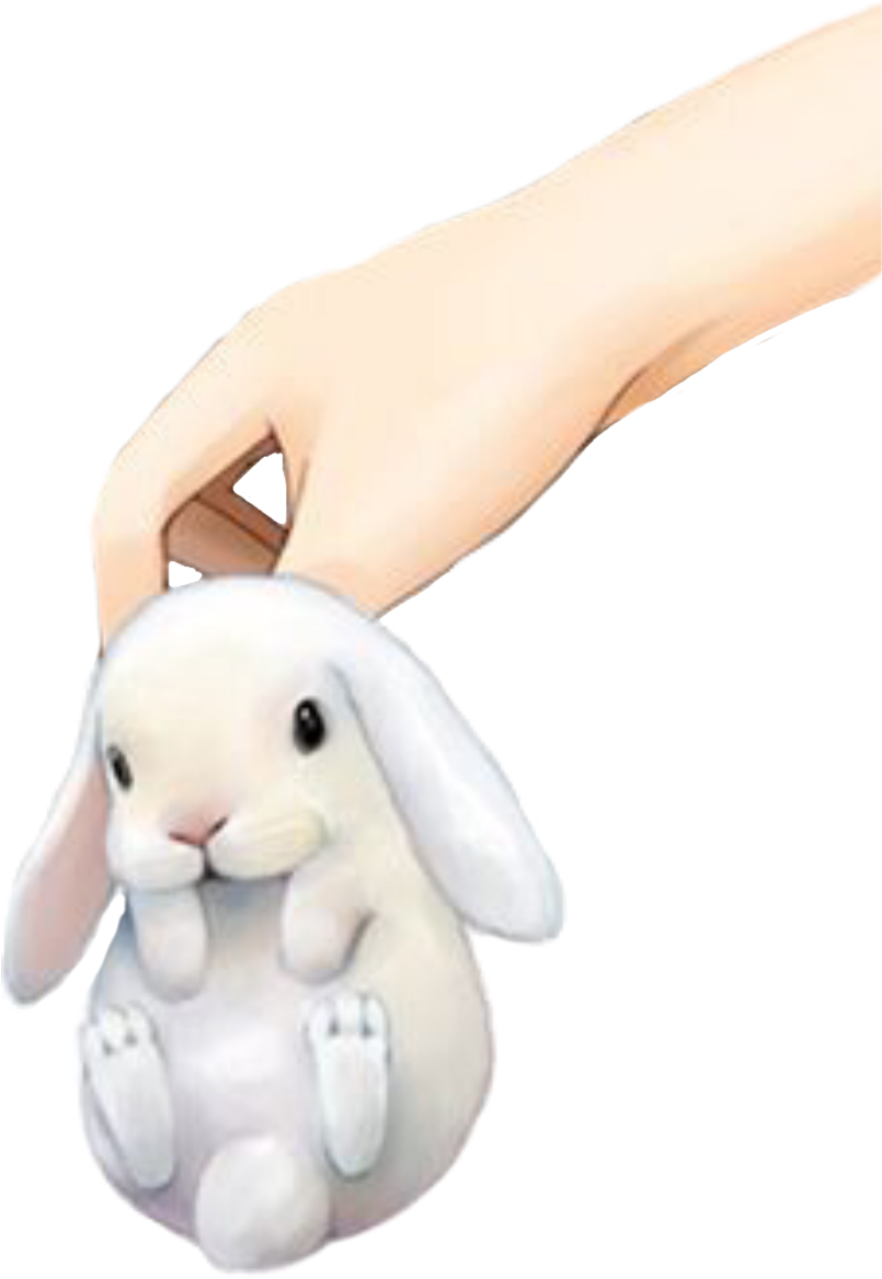 Bunny Baby Rabbit Hand Freetoedit - T-shirt (1024x1202), Png Download