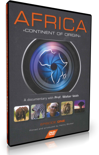 Stober & Veith - Graphic Design (500x500), Png Download