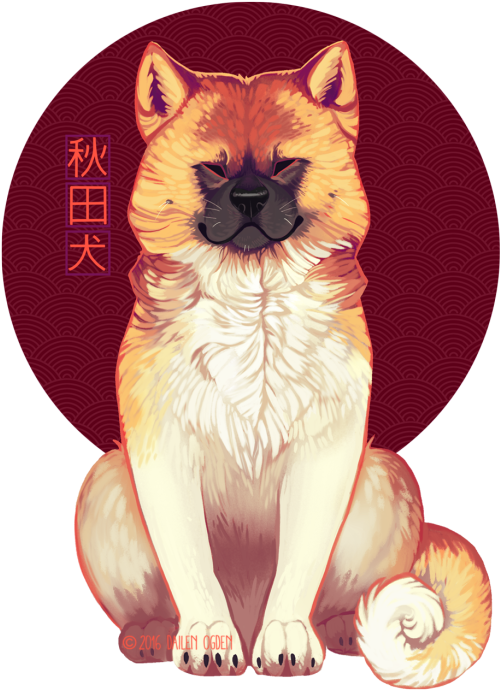 D This Akita Inu Is A Donation Piece - Companion Dog (500x750), Png Download