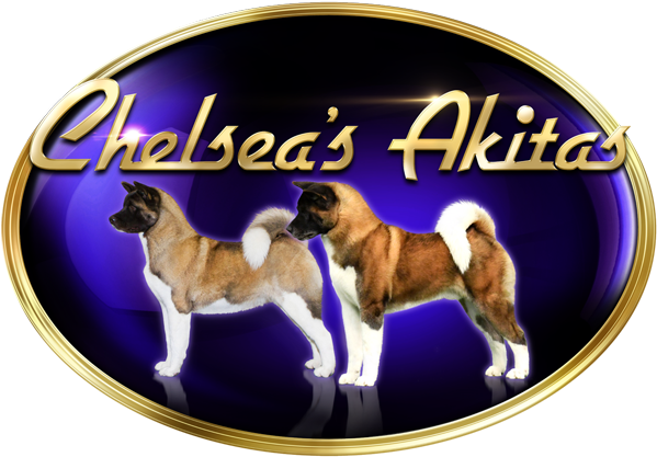 Chelsea's Akitas Home Page - Akita (616x434), Png Download