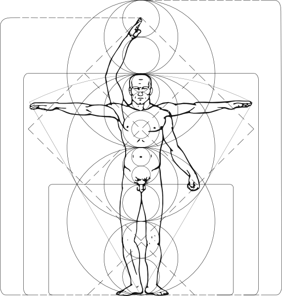 Free Vector Vitruvian Man Clip Art - Vitruvian Man Svg (570x600), Png Download