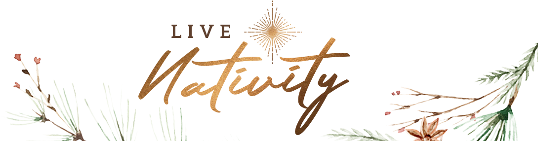 Live Nativity - Calligraphy (1180x300), Png Download