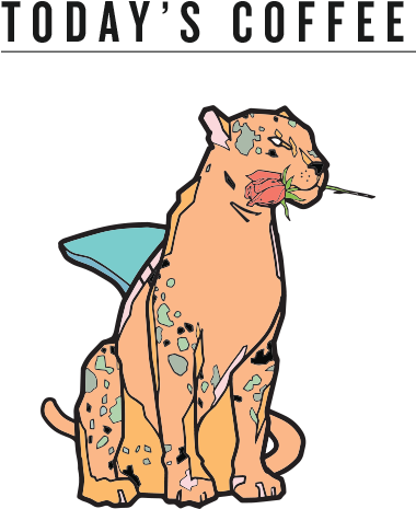 Todays Coffee V1 - Coffee (955x532), Png Download