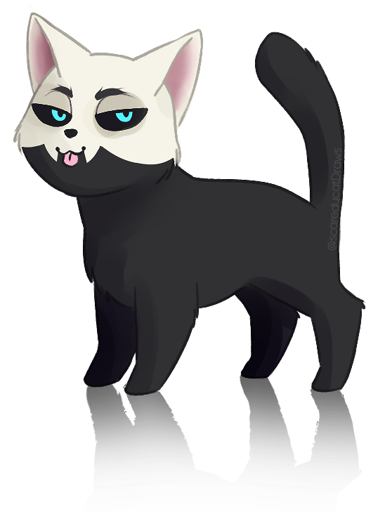 Heelys Exist In Adult Sizes - Domestic Short-haired Cat (800x800), Png Download
