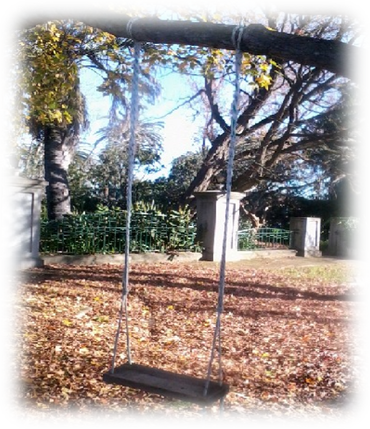 Using Tree Swings On Shabbos - Tree (370x429), Png Download