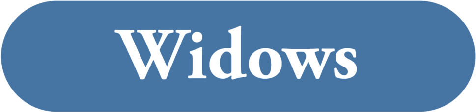 Widows - We're Not A Footnote By Dstl Arts (1000x250), Png Download