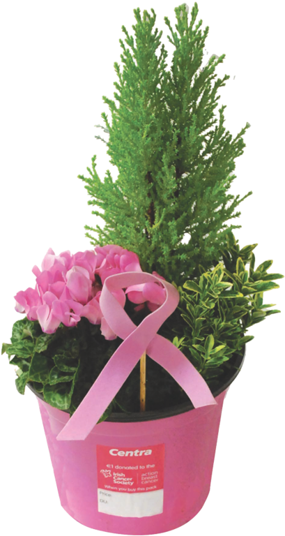 Potted Plant Abc - Flowerpot (800x800), Png Download