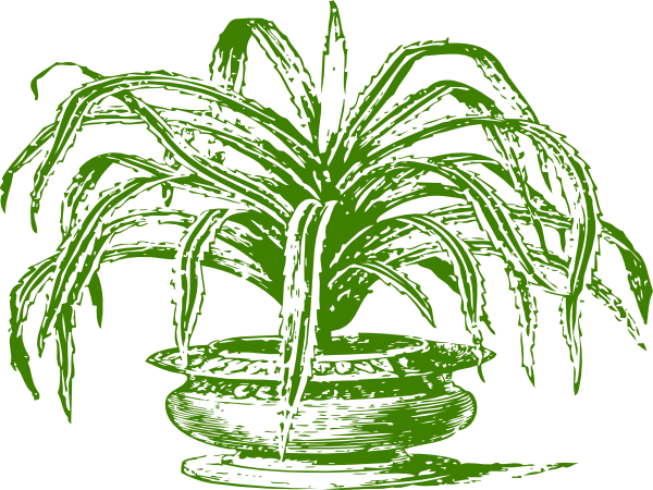 Potted Tree Clip Art - Tree (600x450), Png Download