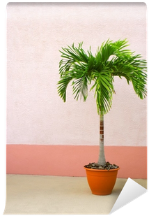 Christmas Palm In Container (400x400), Png Download